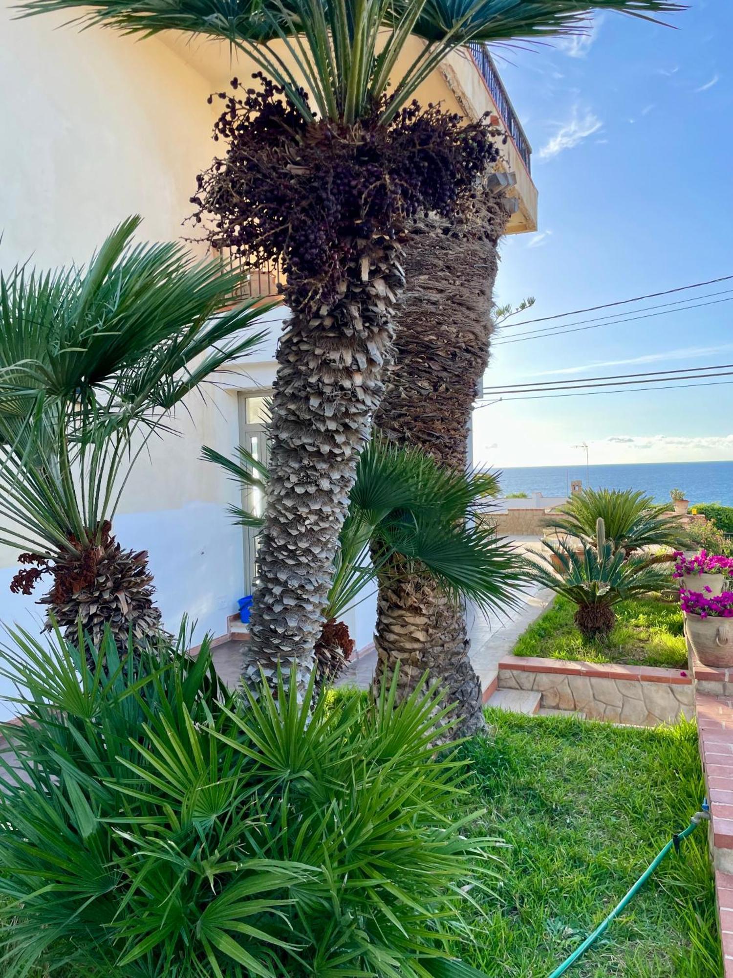 Villa Sul Mare Palazzolo 特拉佩托 外观 照片